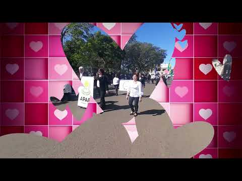 Desfile APAE 2022