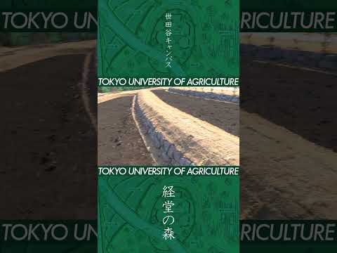 【TOP MESSAGE】江口 文陽 学長 2024-1-10【経堂の森完成】