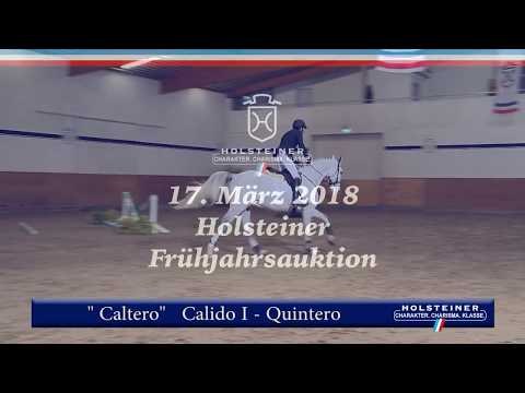 102 | Caltero v. Calido I - Quintero