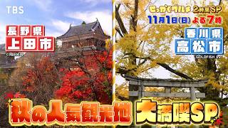 秋の人気観光地を大満喫！食いしん坊アーティスト＆腹ペコ芸人SP『バナナマンのせっかくグルメ!!』11/1(日)【TBS】