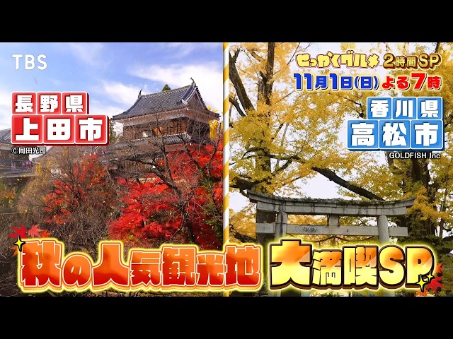 バナナマンのせっかくグルメ★秋の人気観光地に食いしん坊アーティスト＆芸人SP🈑🈓