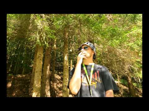 AVRAMSES  - MUNTE CA MAREA ⛰️🌊 (V2023)