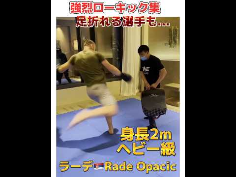 【強烈ローキック集】足を破壊 カーフキック