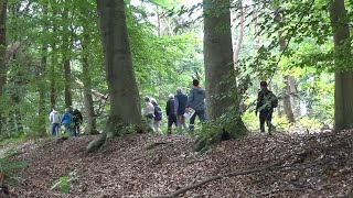 750 Jaar Loon op Zand - Theaterwandeling (Langstraat TV)