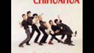 Music video thumbnail preview for CHIHUAHUA - ça sent la mort.wmv by Chihuahua