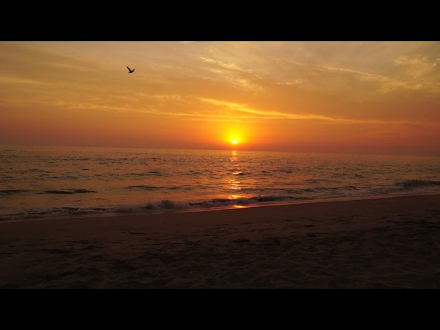 Vídeo relacionado con Puesta de sol tropical en Oceanside Beach, California Camiseta