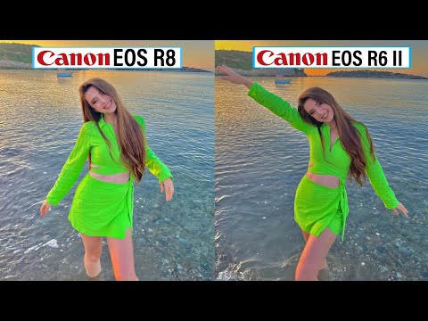 Canon EOS R8 Vs Canon EOS R6 Mark II Camera Test Comparison