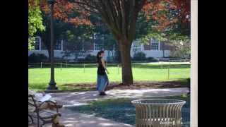 Signs of Life with Beauties Can Die by M83