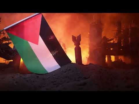 The Hunx   Palestine