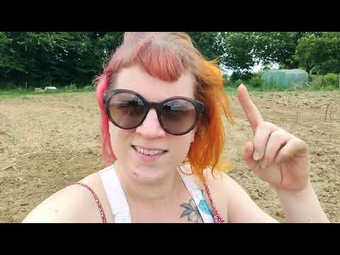 Den Bosbeekhof #7 - Bloemen zaaien met Kim