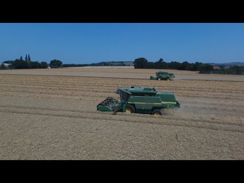 Moisson de blé | 2x John Deere 2254 & 2258 | Case IH CVX 160 & La Campagne 24t