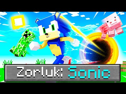 SONİC ZORLUK SEVİYESİ 😱 - Minecraft