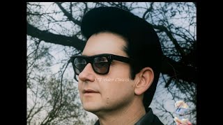 NEW 📀 There Won't Be Many Coming Home - Roy Orbison {Stereo} 1966
