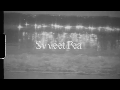 LET ME KNOW - Svveet Pea (Official Music Video)