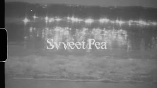 LET ME KNOW - Svveet Pea (Official Music Video)