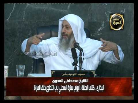 البخاري (96) ” إذا حمل جارية صغيرة على عنقه في الصلاة ” كتاب الصلاة باب (104-106) 