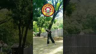 Download lagu pembukaan pencak silat Cempaka putih Terkeren #pscp1974 #pscpindonesia #shorts mp3