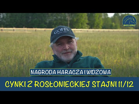 Cynki Adam Wyrzyk 11 i 12 dzień wyścigowy Nagroda Haracza i Widzowa Tor Służewiec