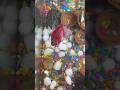 Fish Disease Fish Is Going To Die Tetrafish Fish Ytshorts