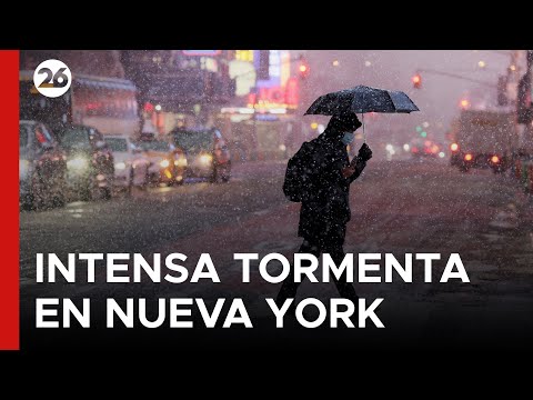 🔴 LIVE - USA | New York declares state of emergency due to Tropical Storm Devin