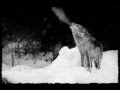 Mother Darkness - Winter 