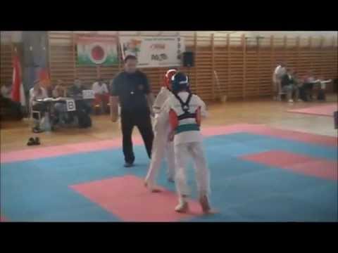 Hungarian Ashihara Karate Open 2012 (Dragon Force Team)