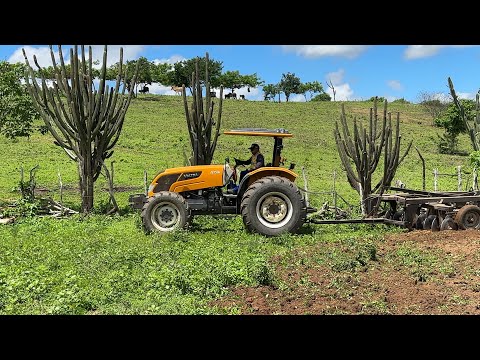Trator valtra gradeando terra no alto grande em Araruna pb