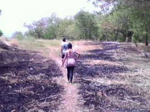 Apresentação do Projeto - Revitalização Já.