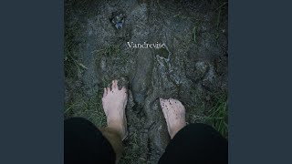 Vandrevise
