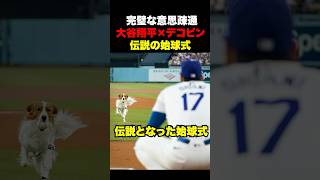 大谷翔平伝説の始球式はこれだ‼️