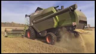 Главная тема дня, конечно ход уборочной