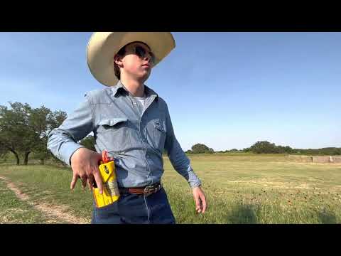 Calver Project 2022 - Ballad of a Small Man