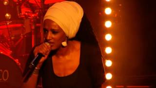 Mo'kalamity and the wizards : Freedom