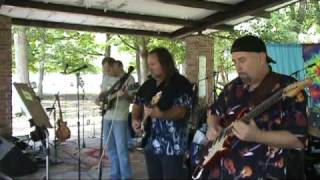 One Wing - Wilco - Neighborhood Picnic Band 2010