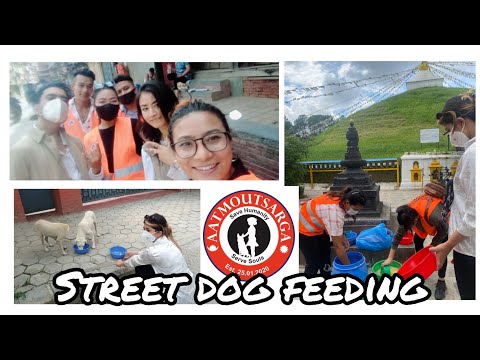 Feeding street dogs with Dixita Karki and Aatmoutsarga Nepal | Sudeshna Maharjan