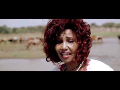 Fikeraddis Nekatibeb   Almotem አልሞትም OFFICIAL Music Video 2016