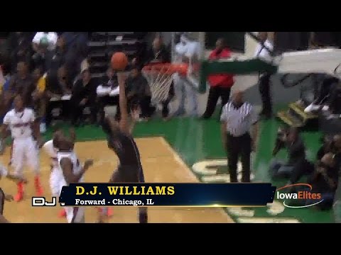 D.J. Williams - Chicago Simeon Forward - Highlights