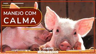 Miniatura do vídeo
