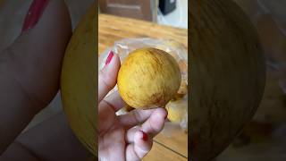 Download lagu Unboxing satol fruit 😄 #adayinmylife #latestdayak #minivlog #dayakgirl mp3 Download lagu Unboxing satol fruit 😄 #adayinmylife #latestdayak #minivlog #dayakgirl mp3