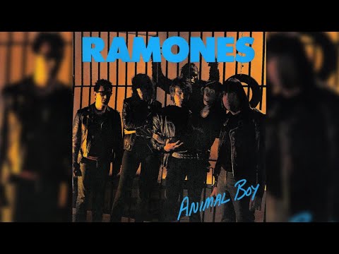 Video thumbnail for Animal Boy