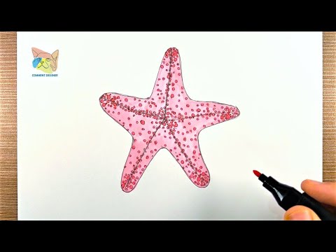 comment dessiner une étoile de mer dessin facile