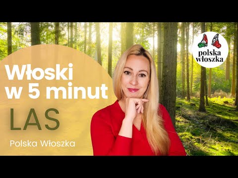 Włoski w 5 minut - lekcja "Las"- słówka i wyrażenia związane z leśnymi spacerami - kurs włoskiego