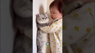 Don't Meow Meow OK 😆