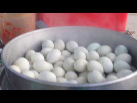 Street food - Steamed duck eggs at poipet city cambodia - Wilderness khvd