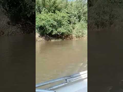 recorriendo río Paraná en zona de la isla caraguatay