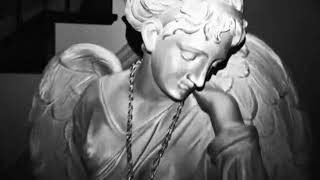 Cover art for stfu + show u how