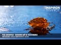 Paul Oakenfold - Southern Sun (DJ Tiesto Remix ...