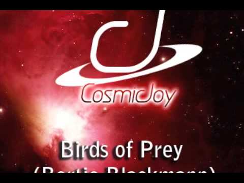 Birds of Prey (Bertie Blackman feat Cosmic Dub)