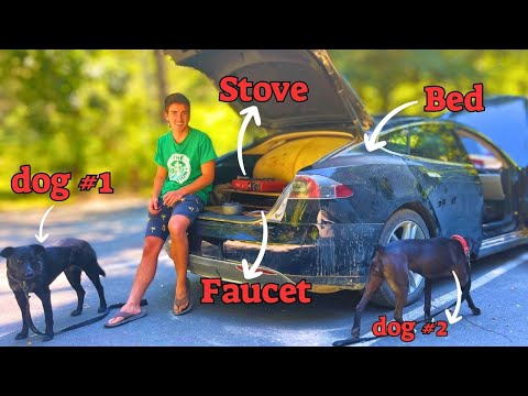 Living in a Tesla Model S | Camper Van Tour