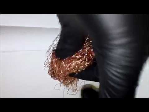 Mice Exclusion in Belmar, NJ